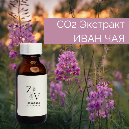 CO2 экстракт Кипрея ( Виллоухерб, Иван-чай) водорастворимый купить